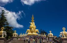 Chengdu Panda Leshan Buddha and Mount Emeishan 2 Days Tour
