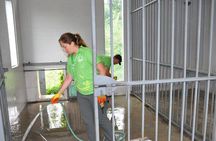Private Day Tour: Dujiangyan Panda Base Volunteering from Chengdu