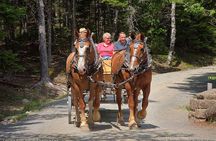 3-Hour Private Luxor Horse Carriage City Tour