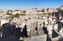 4/hours Half Day Trip Excursion to Herculaneum - Guide included