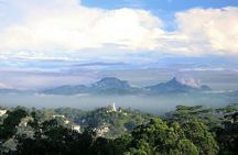 Tea Fields by Bicycle from Kandy