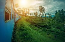 Adisham Rail Tour from Ella City 