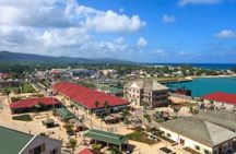 Dunn's River Falls and Jamaica Sightseeing Private Tour