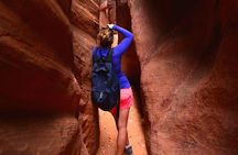 Hiking in Kanab: Walk and Photograph the incredible Wire Pass Slot Canyon!