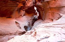 Hiking in Kanab: Walk and Photograph the incredible Wire Pass Slot Canyon!