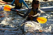 Self-Guided Sydney Middle Harbour Kayak 3 Hour Tour by Single Kayak