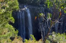 Byron Bay Hinterland Tour Including Rainforest Walk to Minyon Falls