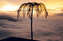 Visit to Chicaque Natural Park Private Tour from Bogotá. (8 Hrs.)