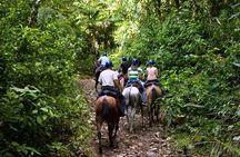 Horseback Riding to Conchal Beach from Tamarindo & Flamingo