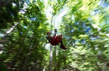 New River Gorge Zip Line Canopy Tour