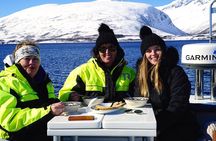 Fjordcruise - Luxury Yacht Arctic Queen