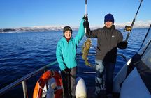 Fishing - Luxury Yacht Arctic Queen