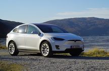 Fjord Sightseeing - Eco friendly Tesla Model X