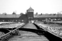 From Krakow: Auschwitz & Wieliczka Salt Mine Guided Tour