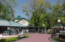 Tigre City and Tigre Delta Half Day Tour for small groups