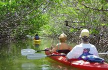 Key West Mangrove Kayak Eco Tour 