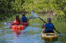 Key West Kayak Rental