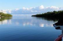 Key West Kayak Rental
