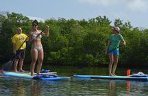 Key West Stand Up Paddleboard Rental 