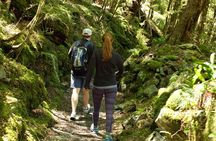 Full-Day Small-Group Routeburn Valley Walk