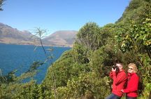 Paradise Day Walks