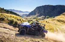 Scenic Guided Off-Road Buggy Tour from Queenstown