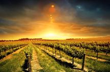 Relaxing three courses Lunch & Wine Tour through Niagara's Wine Country