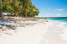 Full-Day Catalina Island Snorkeling Tour from Punta Cana