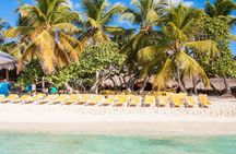 Full-Day Catalina Island Scuba Diving Tour from Punta Cana