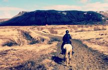 2 hours Private Horse Riding to Lake Hafravatn, Reykjavík - Mos