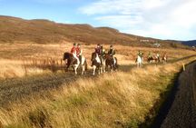 2 hours Private Horse Riding to Lake Hafravatn, Reykjavík - Mos