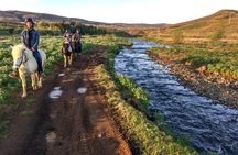 3 hour Private Horse Riding Tour in Mosfellsdalur