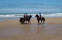 3 hours horse riding in Essaouira, beach, forest and dunes