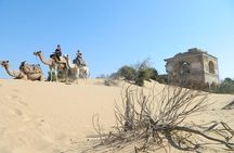 3 hours Camel Ride in Essaouira, beach and dunes