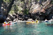 Batemans Bay Glass-Bottom Kayak Tour Over 2 Relaxing Hours