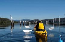 Batemans Bay Oyster Tasting Kayak Tour