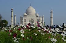 Agra on My Plate along with Taj Mahal Sunrise Tour