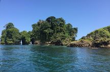 Speed Boat tour to Mangrove Point -Starfish Beach -Bocas del Drago and Birds Island