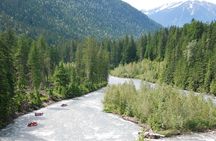 Half-Day Whitewater Rafting in Revelstoke