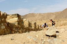 Full-Day Private Caral Trip from Lima
