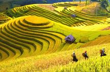Sapa Trekking Tours - 2 Days 1 Night Stay At Homestay
