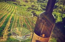 The Dionysus Tour - Wine Tasting at Plešivica and Samobor visit