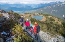Whistler Sky Walk