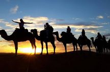 2-Day Zagora Desert Tour from Marrakech