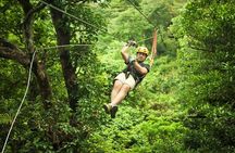 Toro Verde 7-Zipline Tour Plus the Beast with Pickup