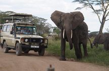3 Days Serengeti and Ngorongoro Crater Safari from Mwanza to Arusha