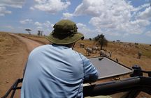 3 Days Serengeti and Ngorongoro Crater Safari from Mwanza to Arusha