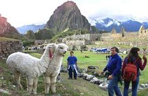 15-Day Peru Tour from Lima Including Paracas, Arequipa and Puno