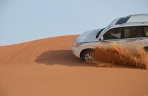 Safari Half-Day Adventure from Abu Dhabi