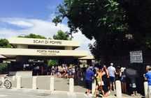 2 hours Pompeii Tour with Local Historian - Ticket Included